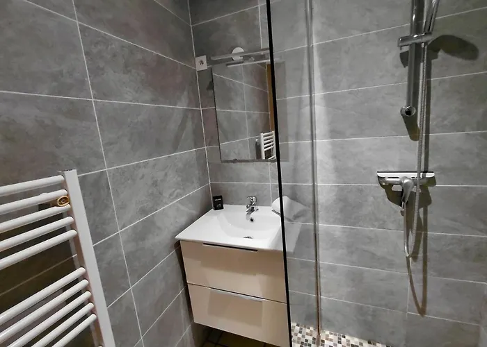 C Coispine 1 Cosy Rdc Vue Sur La Meuse Appartement Charleville-Mézières